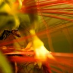 338860131_6e00f88c0c_z