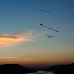 DSC_4254